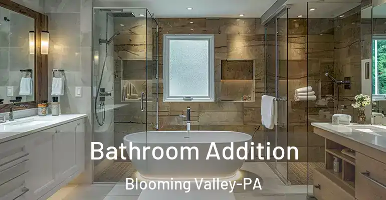 inner Bathroom imggen Bathroom Addition Blooming Valley-PA