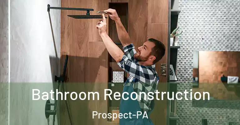inner Bathroom imggen Bathroom Reconstruction Prospect-PA