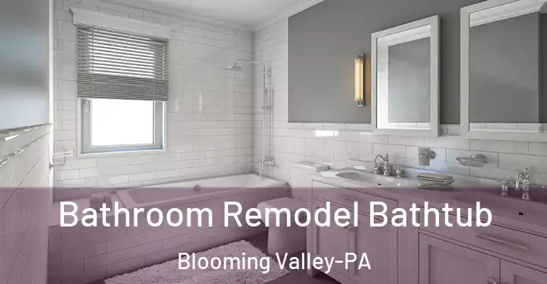 inner Bathroom imggen Bathroom Remodel Bathtub Blooming Valley-PA