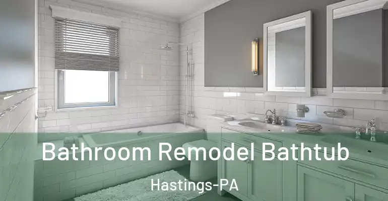 inner Bathroom imggen Bathroom Remodel Bathtub Hastings-PA