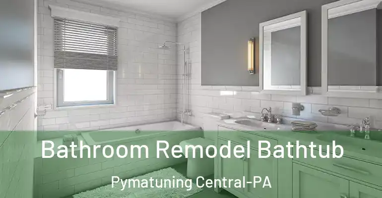 inner Bathroom imggen Bathroom Remodel Bathtub Pymatuning Central-PA