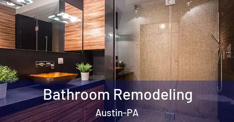inner Bathroom imggen Bathroom Remodeling Austin-PA