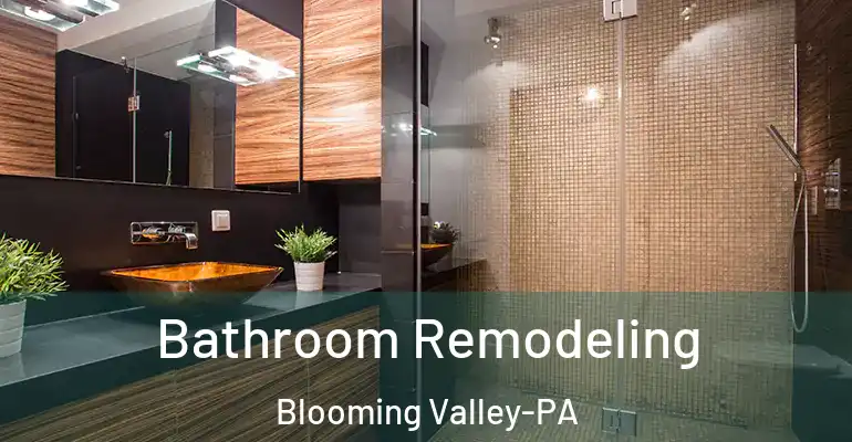 inner Bathroom imggen Bathroom Remodeling Blooming Valley-PA