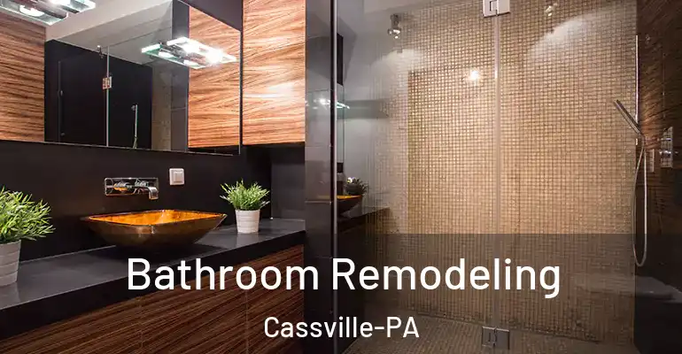 inner Bathroom imggen Bathroom Remodeling Cassville-PA