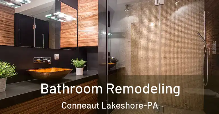 inner Bathroom imggen Bathroom Remodeling Conneaut Lakeshore-PA