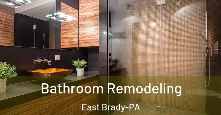 inner Bathroom imggen Bathroom Remodeling East Brady-PA