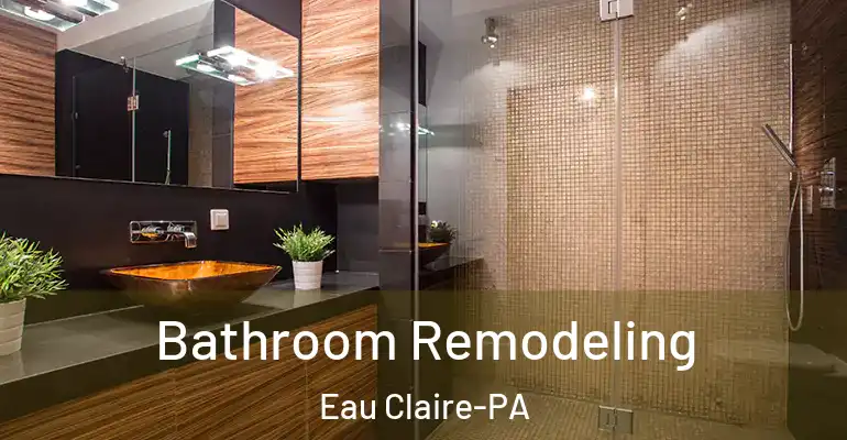 inner Bathroom imggen Bathroom Remodeling Eau Claire-PA