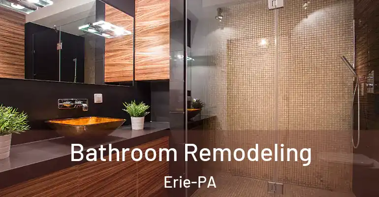 inner Bathroom imggen Bathroom Remodeling Erie-PA