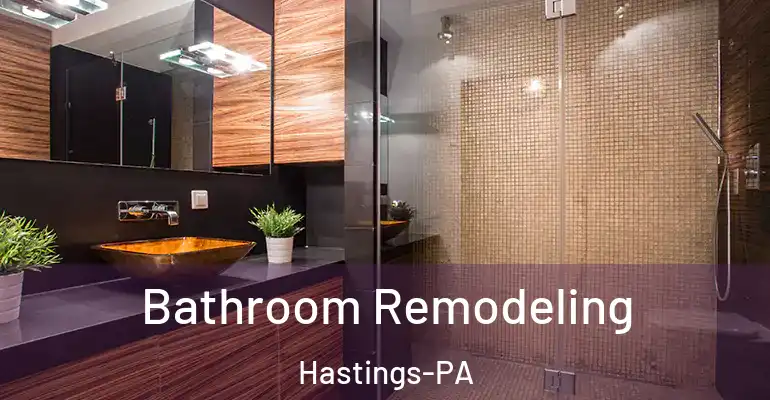 inner Bathroom imggen Bathroom Remodeling Hastings-PA