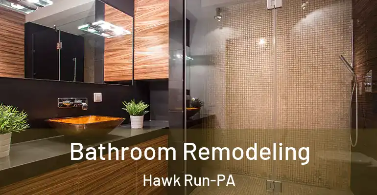 inner Bathroom imggen Bathroom Remodeling Hawk Run-PA