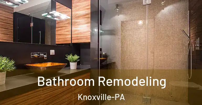 inner Bathroom imggen Bathroom Remodeling Knoxville-PA