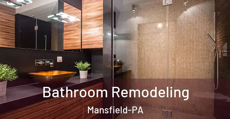 inner Bathroom imggen Bathroom Remodeling Mansfield-PA