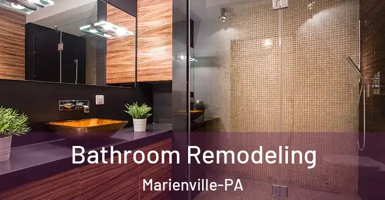 inner Bathroom imggen Bathroom Remodeling Marienville-PA