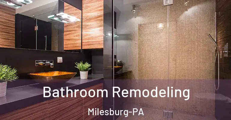 inner Bathroom imggen Bathroom Remodeling Milesburg-PA