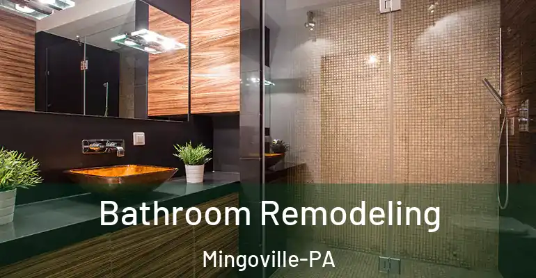 inner Bathroom imggen Bathroom Remodeling Mingoville-PA