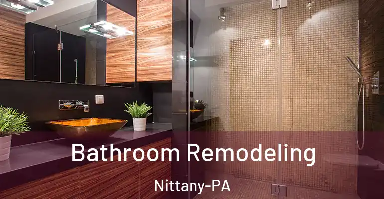inner Bathroom imggen Bathroom Remodeling Nittany-PA