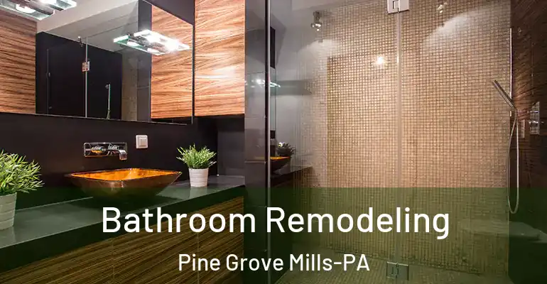 inner Bathroom imggen Bathroom Remodeling Pine Grove Mills-PA