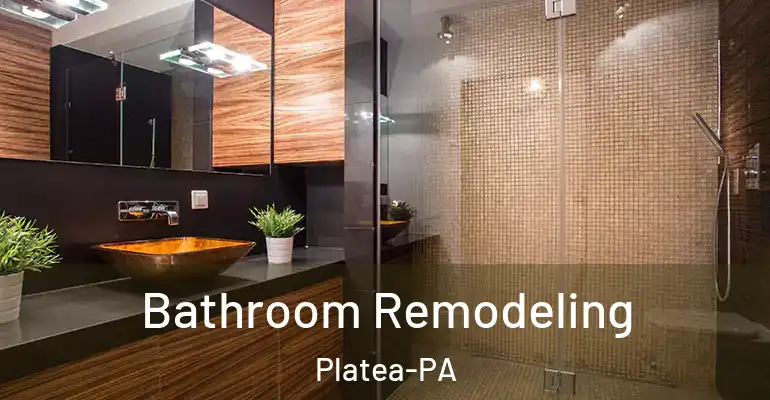 inner Bathroom imggen Bathroom Remodeling Platea-PA