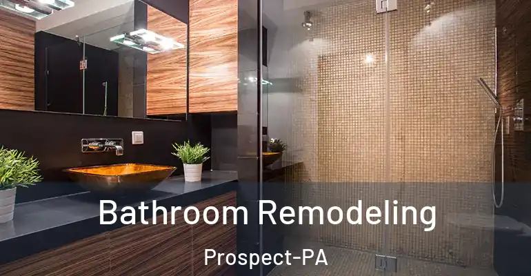 inner Bathroom imggen Bathroom Remodeling Prospect-PA