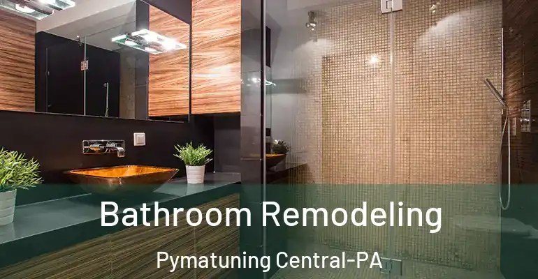 inner Bathroom imggen Bathroom Remodeling Pymatuning Central-PA