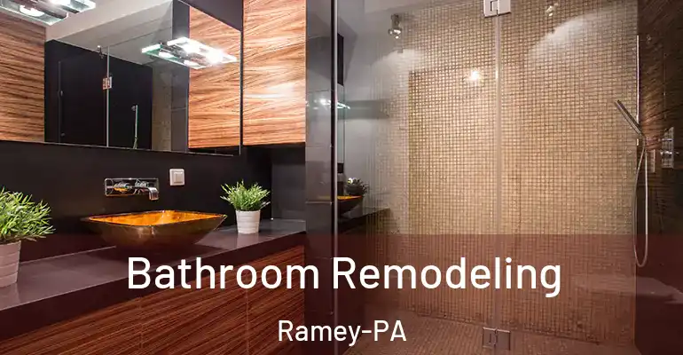 inner Bathroom imggen Bathroom Remodeling Ramey-PA