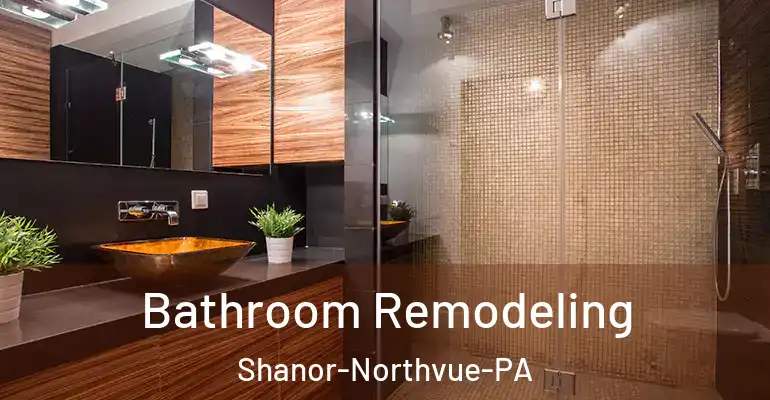 inner Bathroom imggen Bathroom Remodeling Shanor-Northvue-PA