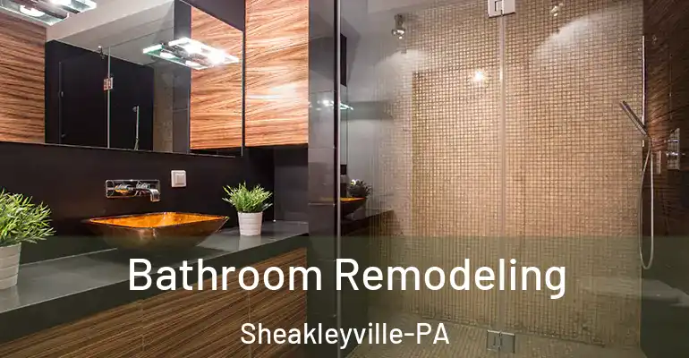 inner Bathroom imggen Bathroom Remodeling Sheakleyville-PA