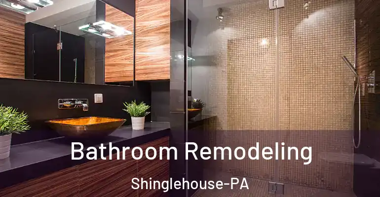 inner Bathroom imggen Bathroom Remodeling Shinglehouse-PA