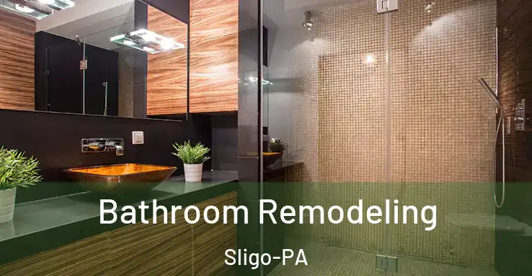 inner Bathroom imggen Bathroom Remodeling Sligo-PA