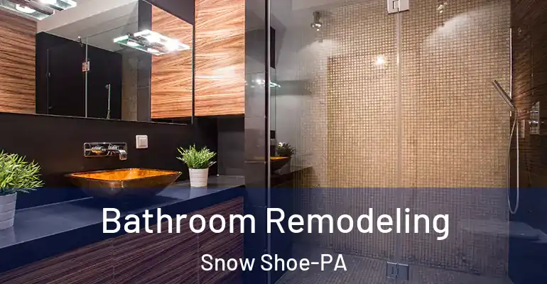 inner Bathroom imggen Bathroom Remodeling Snow Shoe-PA