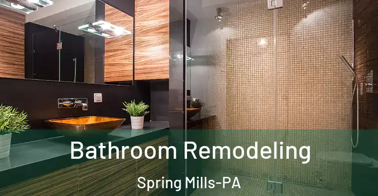 inner Bathroom imggen Bathroom Remodeling Spring Mills-PA