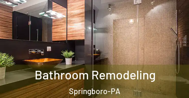 inner Bathroom imggen Bathroom Remodeling Springboro-PA