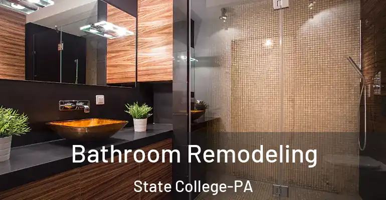 inner Bathroom imggen Bathroom Remodeling State College-PA