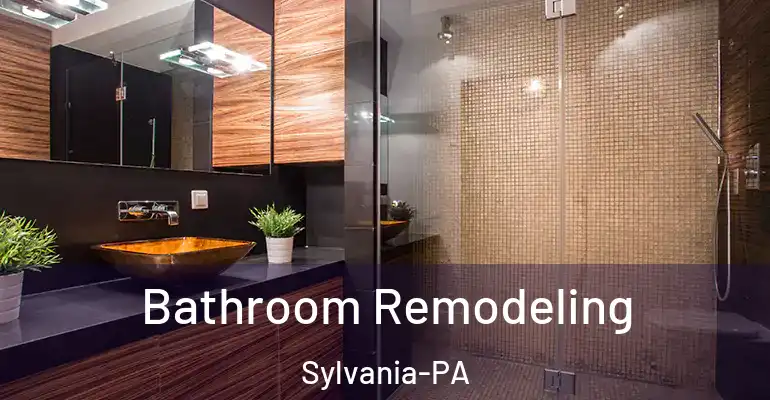 inner Bathroom imggen Bathroom Remodeling Sylvania-PA