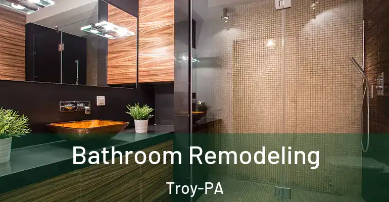 inner Bathroom imggen Bathroom Remodeling Troy-PA