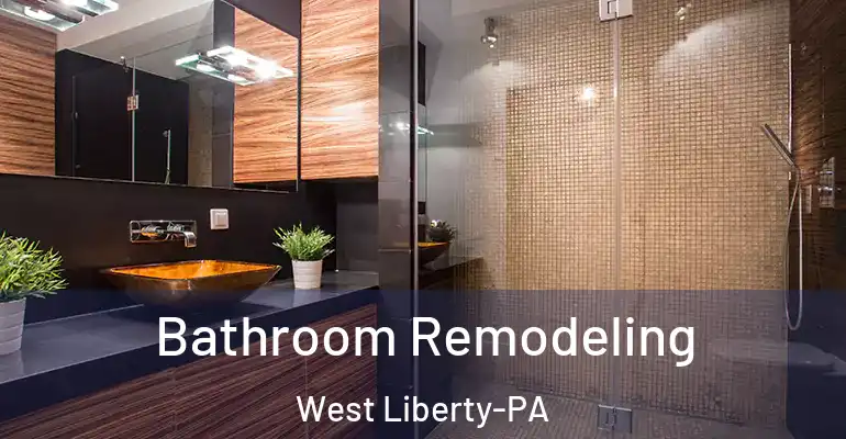 inner Bathroom imggen Bathroom Remodeling West Liberty-PA