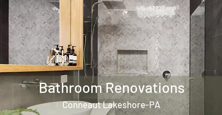 inner Bathroom imggen Bathroom Renovations Conneaut Lakeshore-PA