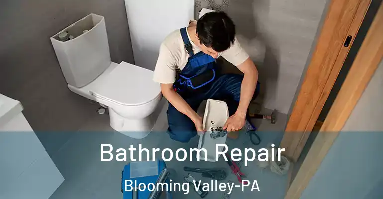inner Bathroom imggen Bathroom Repair Blooming Valley-PA