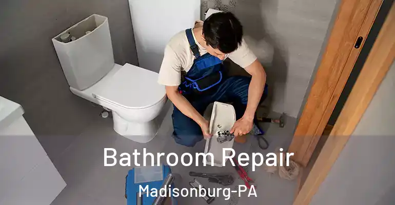 inner Bathroom imggen Bathroom Repair Madisonburg-PA