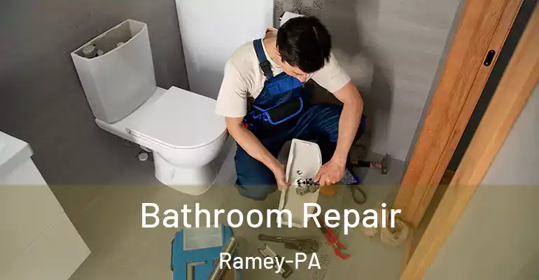 inner Bathroom imggen Bathroom Repair Ramey-PA