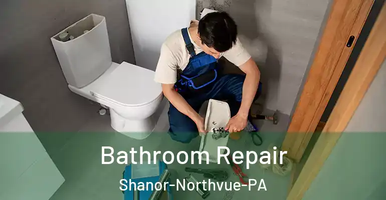 inner Bathroom imggen Bathroom Repair Shanor-Northvue-PA
