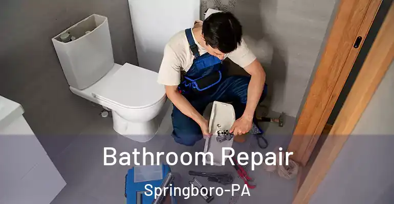 inner Bathroom imggen Bathroom Repair Springboro-PA