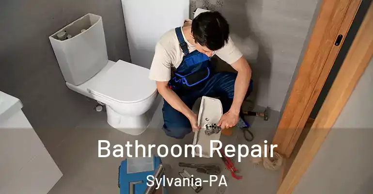 inner Bathroom imggen Bathroom Repair Sylvania-PA