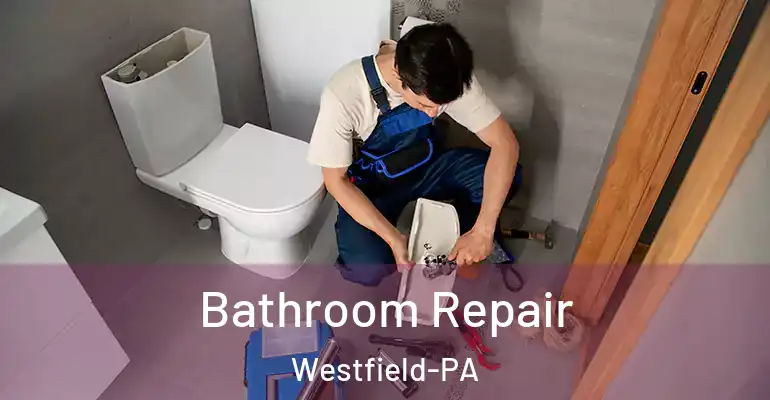 inner Bathroom imggen Bathroom Repair Westfield-PA