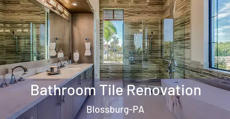inner Bathroom imggen Bathroom Tile Renovation Blossburg-PA