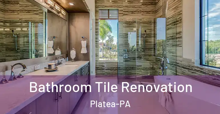 inner Bathroom imggen Bathroom Tile Renovation Platea-PA