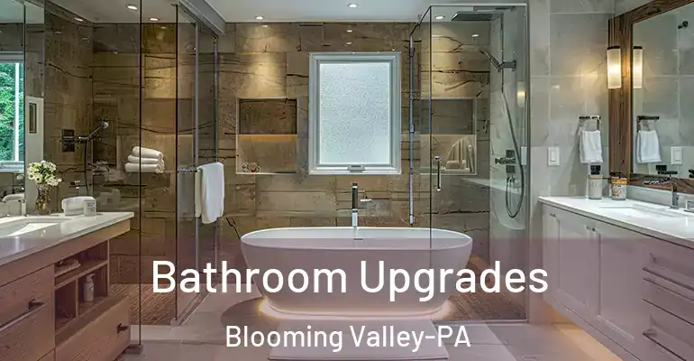 inner Bathroom imggen Bathroom Upgrades Blooming Valley-PA
