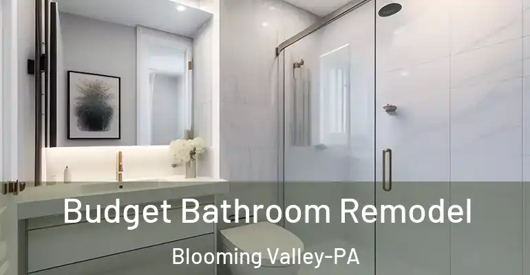 inner Bathroom imggen Budget Bathroom Remodel Blooming Valley-PA
