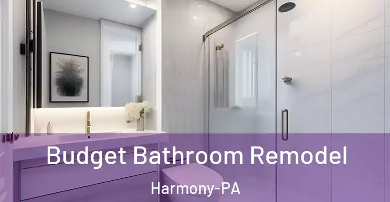 inner Bathroom imggen Budget Bathroom Remodel Harmony-PA