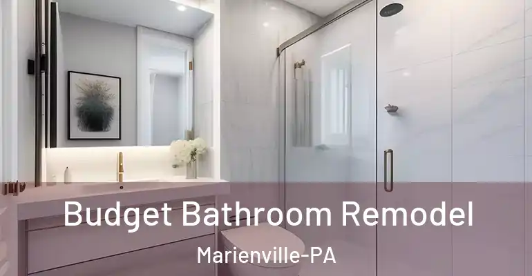 inner Bathroom imggen Budget Bathroom Remodel Marienville-PA